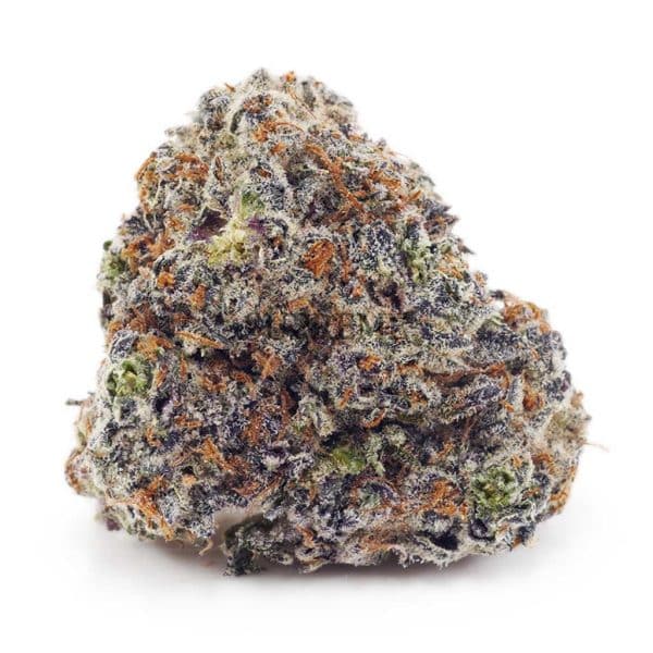 Buy Blue Lobster AAAA at Supreme Dispensary