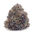Buy Purple Thunder Fuck AAAA at Supreme Dispensary