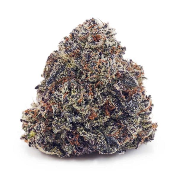 Buy Purple Thunder Fuck AAAA at Supreme Dispensary Buy Purple Thunder Fuck AAAA at Supreme Dispensary