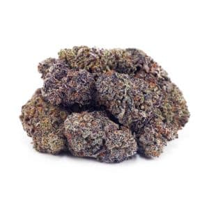 Buy Purple Thunder Fuck AAAA at Supreme Dispensary Buy Purple Thunder Fuck AAAA at Supreme Dispensary