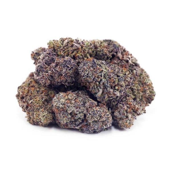 Buy Purple Thunder Fuck AAAA at Supreme Dispensary Buy Purple Thunder Fuck AAAA at Supreme Dispensary