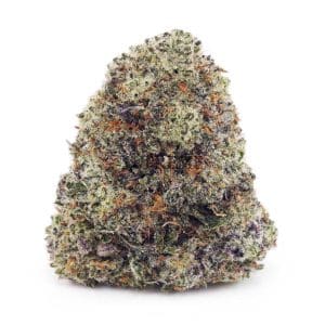 Buy Dragonfruit Gelato (Craft Cannabis) at Supreme Dispensary