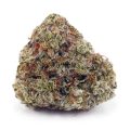 Buy Papaya Punch AAAA at Supreme Dispensary