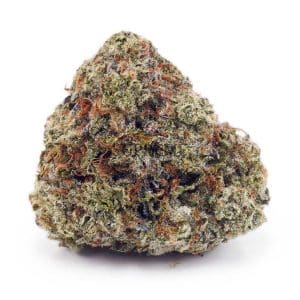 Buy Papaya Punch AAAA at Supreme Dispensary