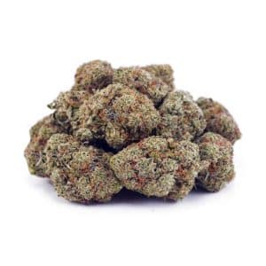 Buy Papaya Punch AAAA at Supreme Dispensary