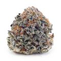 Buy Mango Kush AAAA at Supreme Dispensary
