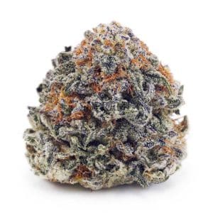 Buy Mango Kush AAAA at Supreme Dispensary