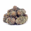 Buy Mango Kush AAAA at Supreme Dispensary