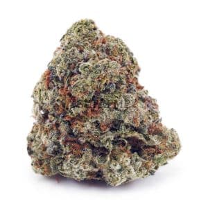 Buy Maui Wowie AAAA at Supreme Dispensary