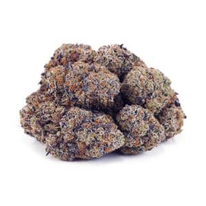 Buy Pink Goo AAAA at Supreme Dispensary