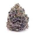 Buy Quantum Kush AAA at Supreme Dispensary