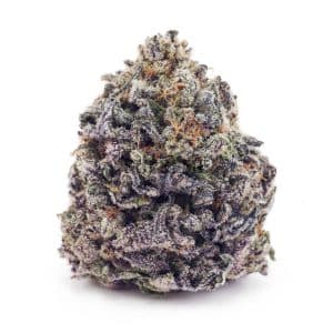 Buy Quantum Kush AAA at Supreme Dispensary