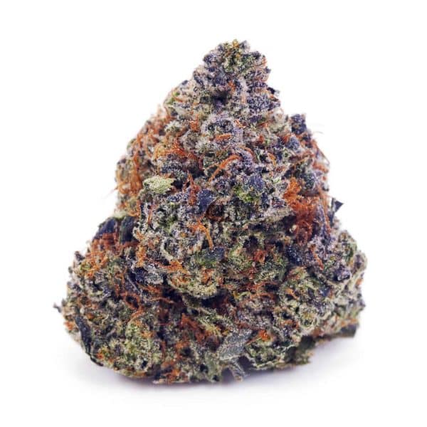 Buy Pink Picasso (Craft Cannabis) at Supreme Dispensary Buy Pink Picasso (Craft Cannabis) at Supreme Dispensary