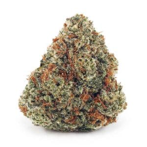 Buy Nightmare OG AA at Supreme Dispensary