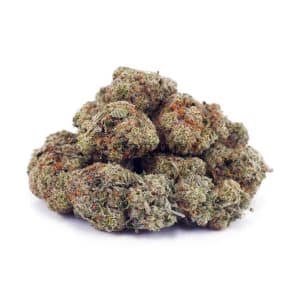 Buy Alice In Wonderland AAA at Supreme Dispensary Buy Alice In Wonderland AAA at Supreme Dispensary