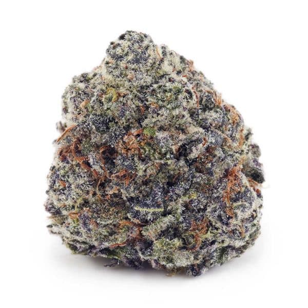 Buy Supreme Cherry Punch (Craft Cannabis) at Supreme Dispensary Buy Supreme Cherry Punch (Craft Cannabis) at Supreme Dispensary