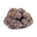 Buy Blackberry Fritter AAAA at Supreme Dispensary
