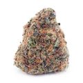 Buy Columbian Gold AA at Supreme Dispensary