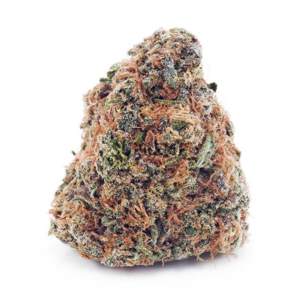 Buy Columbian Gold AA at Supreme Dispensary