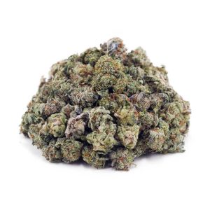 Buy White Russian AAAA - (Popcorn Buds) at Supreme Dispensary