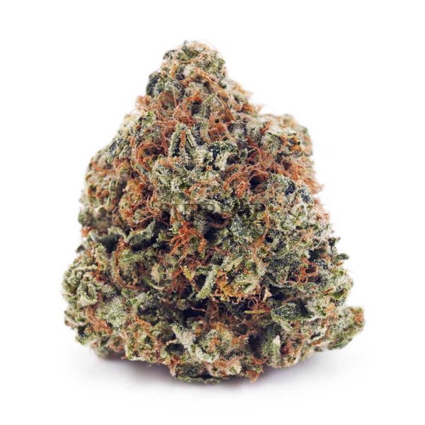 Buy Amnesia Haze AA at Supreme Dispensary Buy Amnesia Haze AA at Supreme Dispensary