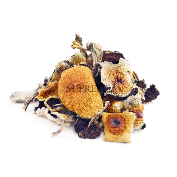 Buy Mushrooms – Treasure Coast at Supreme Dispensary Buy Mushrooms – Treasure Coast at Supreme Dispensary