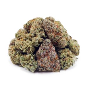 Buy Snoops Dream AAAA at Supreme Dispensary