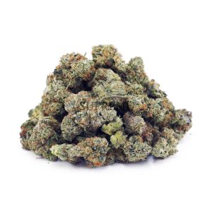 Buy Blackberry Gelato AAAA - (Popcorn Buds) at Supreme Dispensary